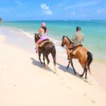 Shared horseback riding Punta Cana Beach - Who Will Love This Tour?