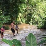 Shared Konoko Falls and Tropical Garden Tour from Runaway Bay - An In-Depth Look at the Konoko Falls and Tropical Garden Tour