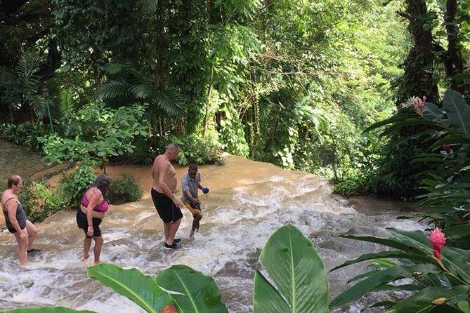 Shared Konoko Falls and Tropical Garden Tour from Runaway Bay - An In-Depth Look at the Konoko Falls and Tropical Garden Tour