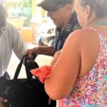 Shared or Private St Kitts Airport Roundtrip Transfer - The Details of Your St Kitts Transfer Experience