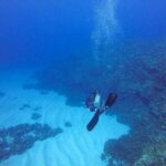 Shared Scuba Diving Experience on Easter Island one dive only - Why This Tour Offers Value