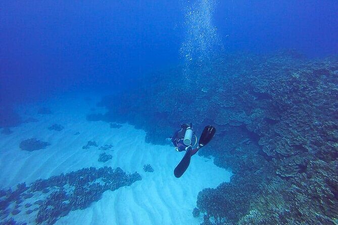 Shared Scuba Diving Experience on Easter Island one dive only - Why This Tour Offers Value