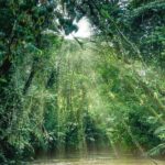 Shared Shuttle Arenal to Tortuguero - Why choose this shuttle?