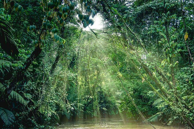 Shared Shuttle Arenal to Tortuguero - Why choose this shuttle?