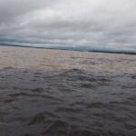 Shared Tour Amazonian Natural Beauty in Manaus - Is this Tour Right for You?