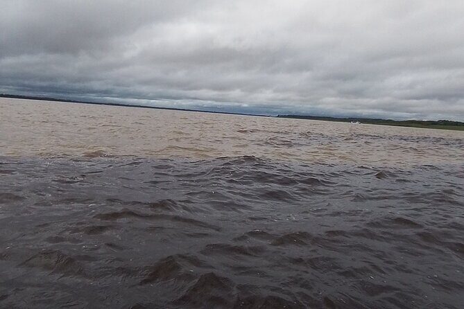 Shared Tour Amazonian Natural Beauty in Manaus - Is this Tour Right for You?