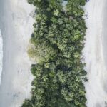 Shared transfer to Manuel Antonio - A detailed look at this transfer experience