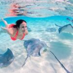 Sharks & Stingrays Encounter and Small Boat Ride from Punta Cana - Key Points