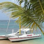 Shasa private catamran sailing cruise, Snorkel with turtles. - The Sum Up: Is This Tour Right for You?
