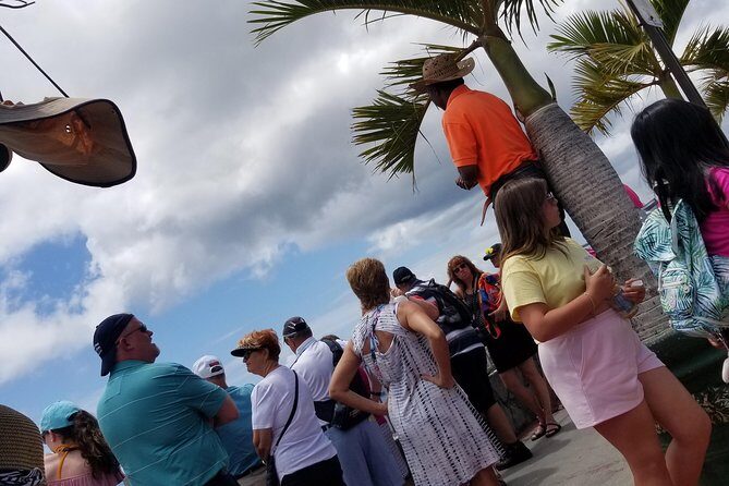 Shopping And Sightseeing Excursion - The Sum Up