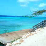 Shore Dive Aruba for Certified Divers - Final Thoughts: Who Is This Tour Best For?