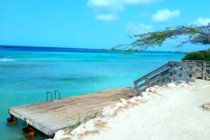 Shore Dive Aruba for Certified Divers - Final Thoughts: Who Is This Tour Best For?