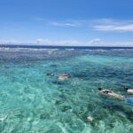 Shore Excursion: Monkey & Sloths Sanctuary Snorkel Adventure - Final Thoughts: Is This Tour for You?