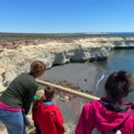 Shore Excursion: Punta Loma with City Tour Puerto Madryn - Practical Details and What It Means for You