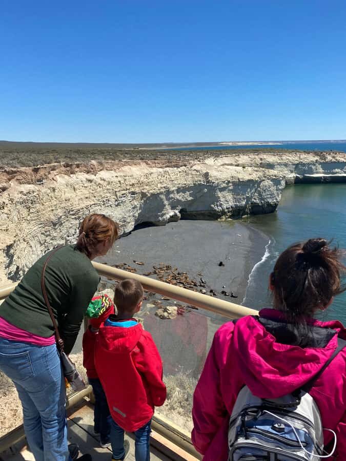Shore Excursion: Punta Loma with City Tour Puerto Madryn - Practical Details and What It Means for You