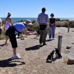 Shore Excursion Punta Tombo cruise passengers Puerto Madryn - The Experience on the Ground