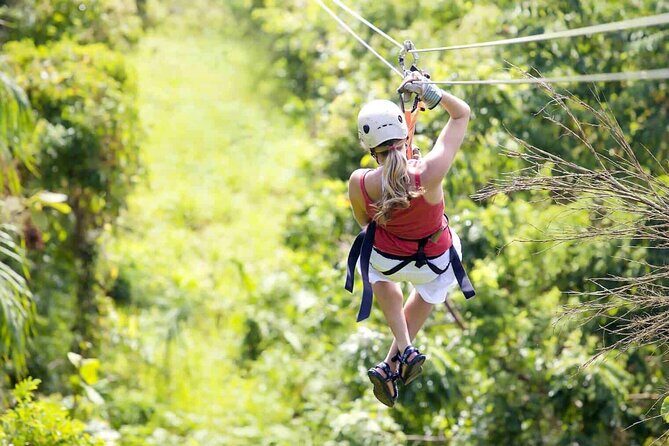 Shore Excursion Roatan Zip Line, Wildlife Eco-Park and Snorkel - Who Will Love This Tour?