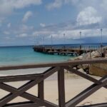 Shore Excursion - Walking Tour of Speightstown and its Museum - Final Thoughts