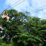 Shore Excursion: Zip Line Adventure - Breakdown of the Itinerary