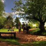 Shore Excursion:Small Group Estancia Tour to San Antonio de Areco - Practical Details: What to Expect and Tips