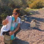 Shore Tours Punta Tombo Cruise Ship Passengers Puerto Madryn - The Sum Up: Is This the Right Tour for You?