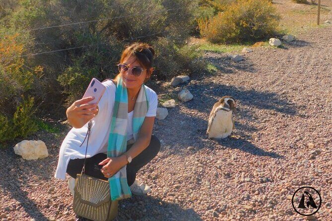 Shore Tours Punta Tombo Cruise Ship Passengers Puerto Madryn - The Sum Up: Is This the Right Tour for You?
