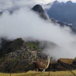 Short Inca Trail to Machu Picchu - Why This Tour Works So Well