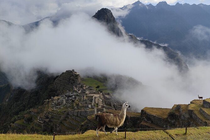 Short Inca Trail to Machu Picchu - Why This Tour Works So Well