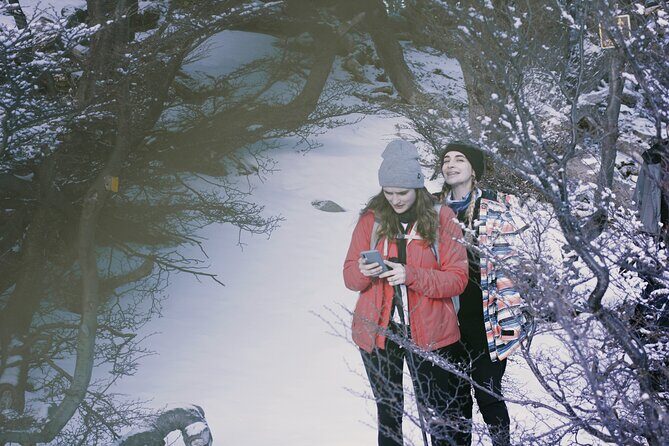 Short trekking to Vinciguerra Glacier and Laguna Tempanos - In-Depth Look at the Vinciguerra Glacier Trek