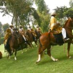 Show of Peruvian Paso Horse & Marinera with lunch - Practical Details and Tips