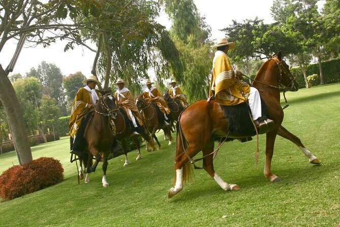 Show of Peruvian Paso Horse & Marinera with lunch - Practical Details and Tips