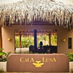 Shuttle Service From Liberia Airport To Tamarindo - In-Depth Review of Liberia to Tamarindo Shuttle Service