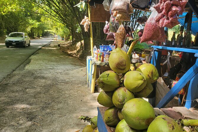 Sight seeing tour through the hills of JAMAICA - Detailed Breakdown of the Itinerary