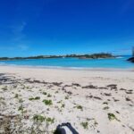 Sightseeing Shopping and Beach Tour - Authentic Experiences and Authenticity