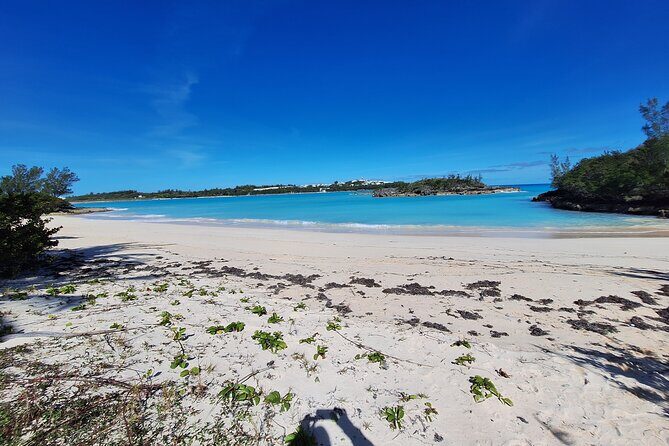 Sightseeing Shopping and Beach Tour - Authentic Experiences and Authenticity