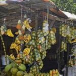 Sightseeing Tour in Ocho Rios - Who Would Love This Tour?