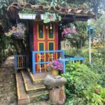 Silletero Tour - From Medellín - A Deep Dive into the Silletero Experience