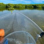 Sip & Sea Mangrove Glass Boat Tour Grand Turk Island - FAQ