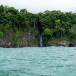 Sirena Station, Corcovado National Park Day Trip from Quepos. - What’s the Real Value?