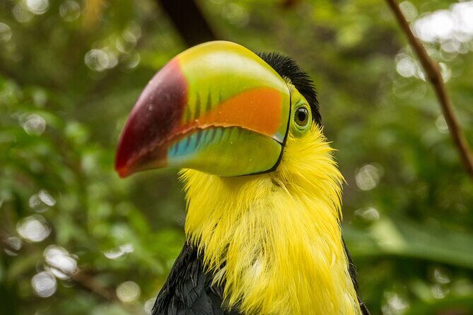 Skip the Line: Diamante Eco Adventure Park: Animal Sanctuary Discovery Ticket - An Organized Itinerary