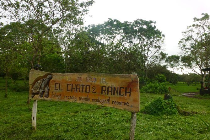Skip the Line:El Chato 2 Reserve Admission Ticket in Santa Cruz Island,Galapagos - The Sum Up: Is it worth it?