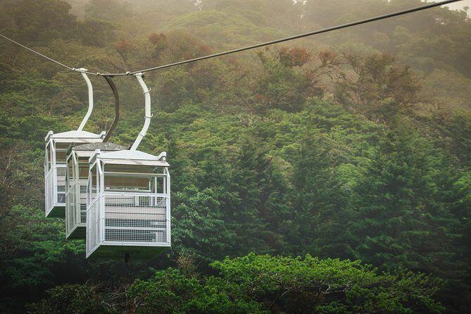 Sky Tram & Sky Trek From Monteverde - The Tour in Detail: What to Expect