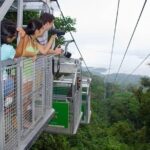 Sky Trek & Sky Tram at MONTEVERDE - A Detailed Look at the Sky Trek & Sky Tram Experience