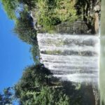 Sloth Forest Tour, Organic Coffee and Chocolate Tour & Waterfall - Who Is This Tour Best For?