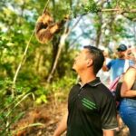 Sloth Sanctuary WildLife Hike - The Experience in Detail
