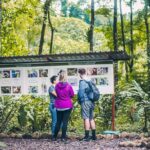 Sloth Tour - Sloth Tour in La Fortuna: A Genuine Encounter with Nature’s Laid-Back Mammals