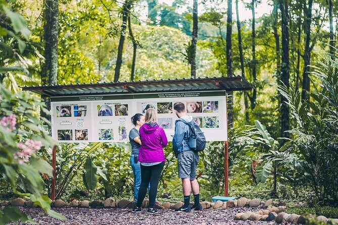 Sloth Tour - Sloth Tour in La Fortuna: A Genuine Encounter with Nature’s Laid-Back Mammals