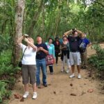Sloths Lovers Tour. Puerto Limon Shore Excursion - The Experience: What You Can Expect