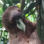 Sloths, Monkeys and Waterfall Experience - Price and Value Analysis