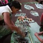 Slow Travel from Quito to Cuyabeno Amazon - Exploring the Cuyabeno Wildlife Reserve